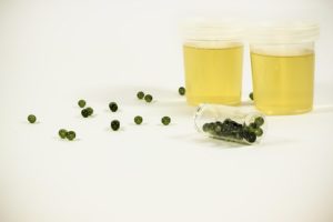 image of synthetic urine for drug test